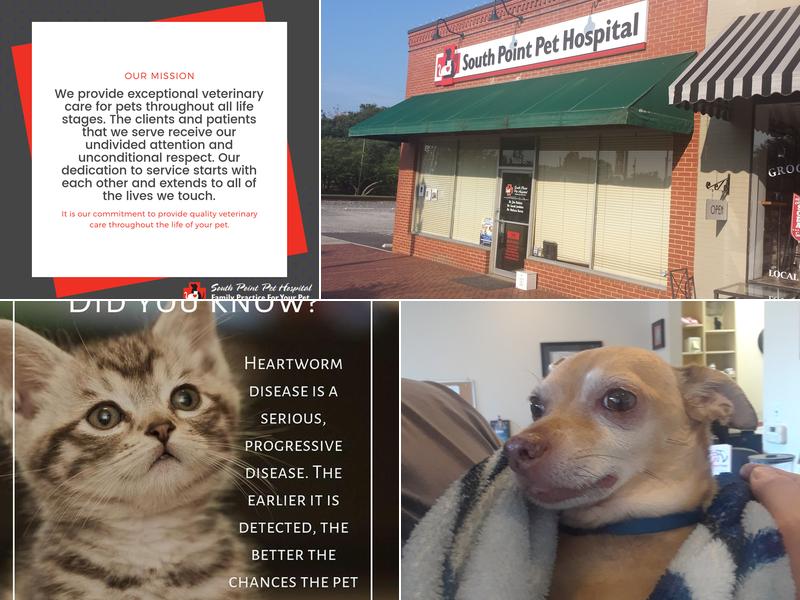 South Point Pet Hospital