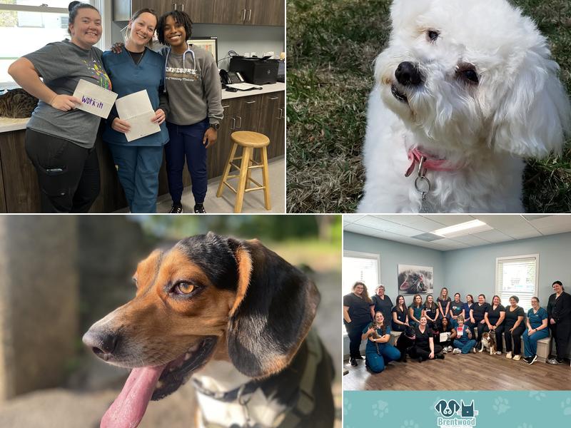 Brentwood Veterinary Center