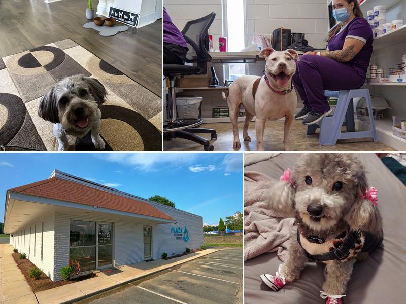 Plaza Veterinary Hospital