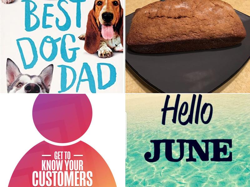 All Paw Pets Emergency Hospital: Anthony Sharon DVM