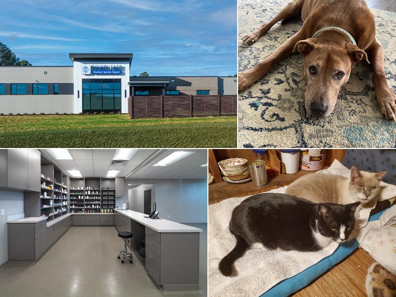 Points East Veterinary Specialty Hospital