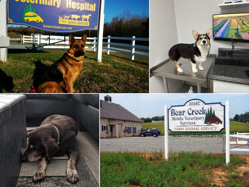 Bear Creek Veterinary Hospital
