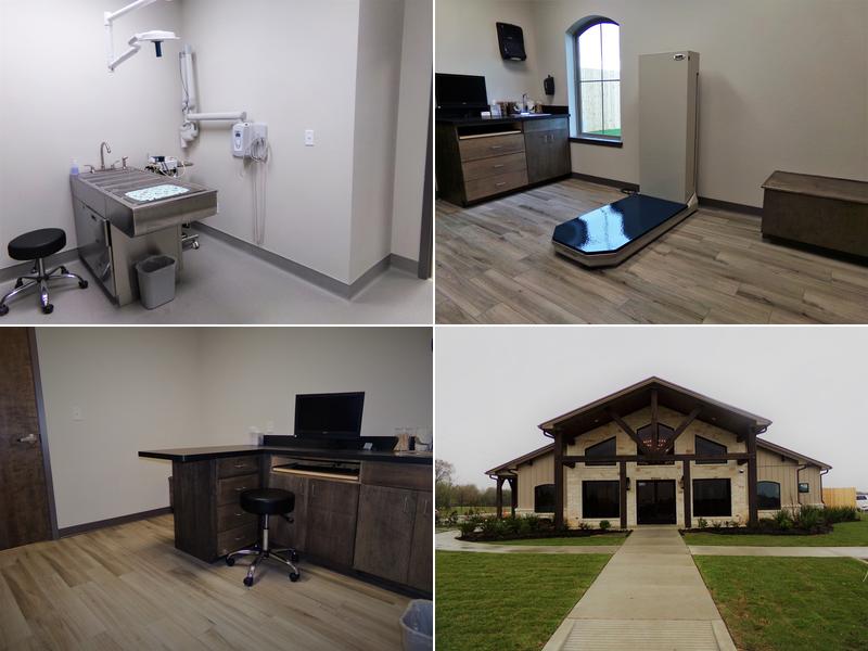 Dawn M. Karnicki, D.V.M