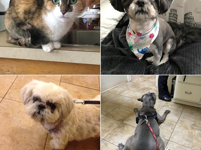 Parkview Animal Hospital