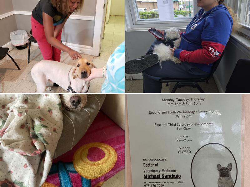 East Orange Animal Hospital