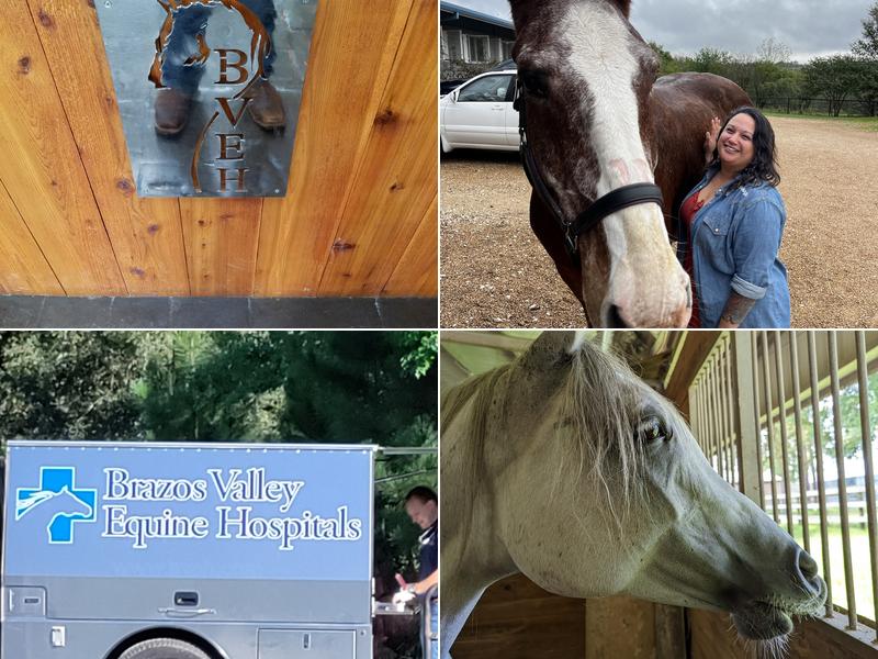 Brazos Valley Equine Hospitals