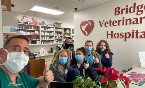 Bridge Veterinary Hospital