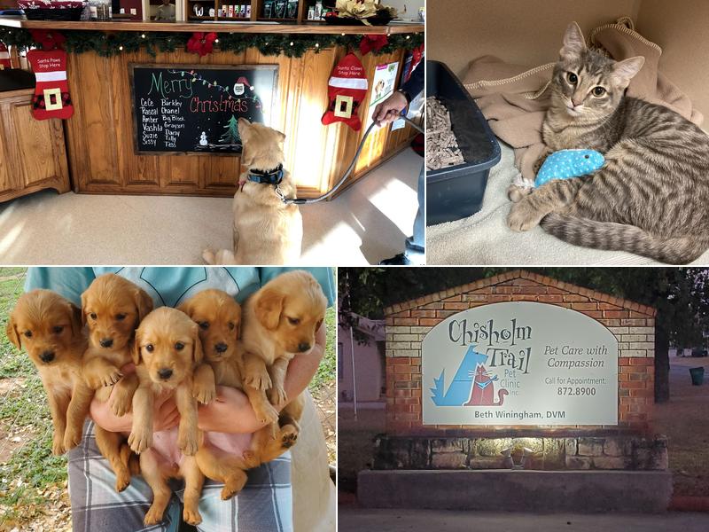 Chisholm Trail Pet Clinic Inc