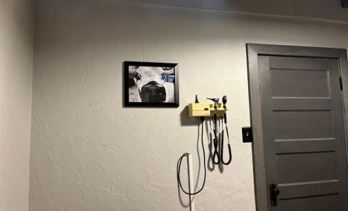 Cross Timbers Vet Hospital Inc: Ward Mike DVM Bowie