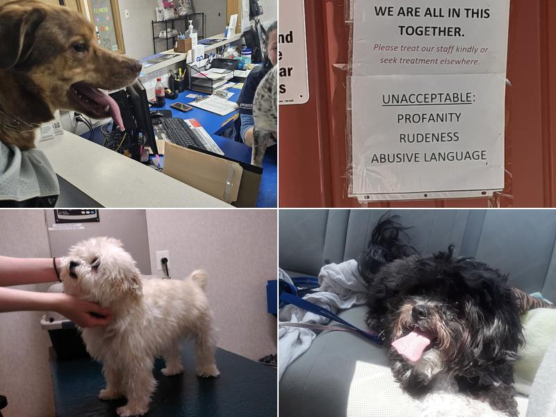 Evesham Veterinary Clinic: Bell Jaclyn DVM