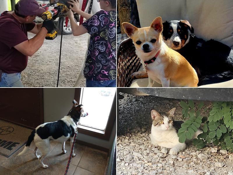 Cherryvale Veterinary Clinic