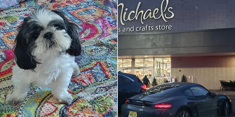 All Paws Veterinary Hospital