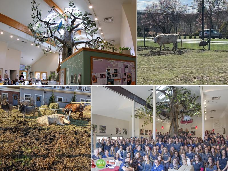 Mount Laurel Animal Hospital