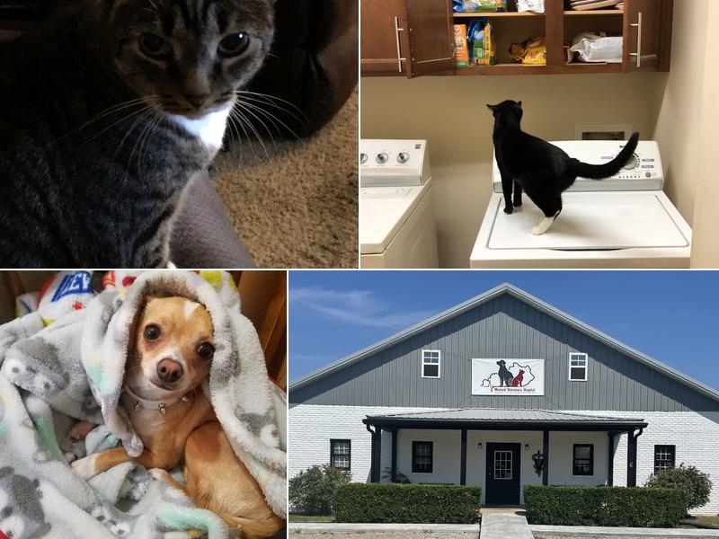 West Kentucky Veterinary Hospital (Formerly Westuck)
