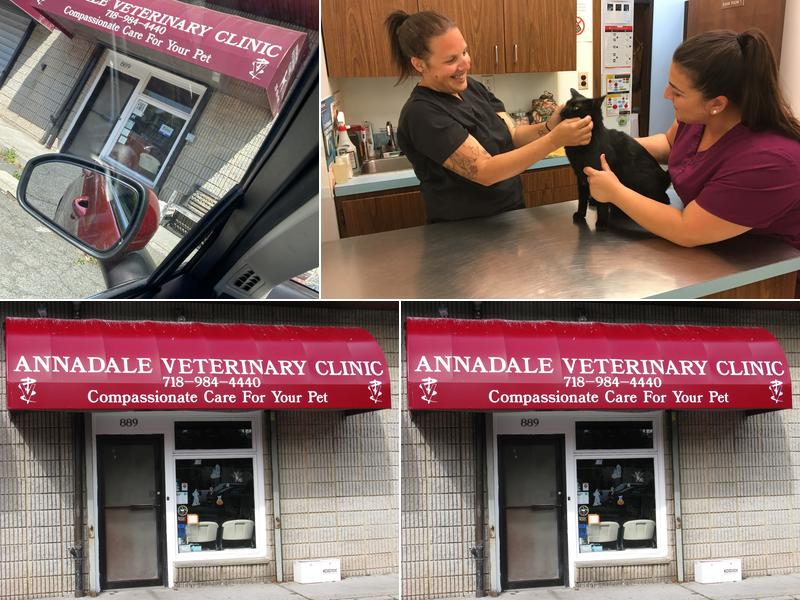 Annadale Veterinary Clinic