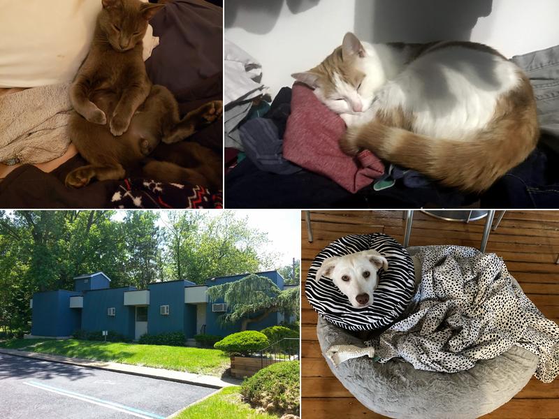 The Spay & Neuter Center of New Jersey