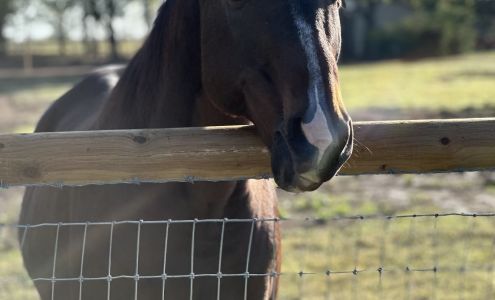 Winnsboro Veterinary Medical Center 21006 TX-11 E, Winnsboro Texas 75494