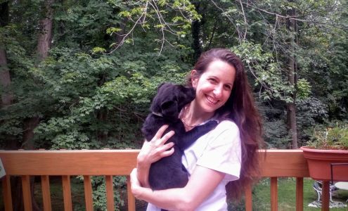 Jockey Hollow Veterinary Practice 3 Jockey Hollow Rd, New Milford New York 10959