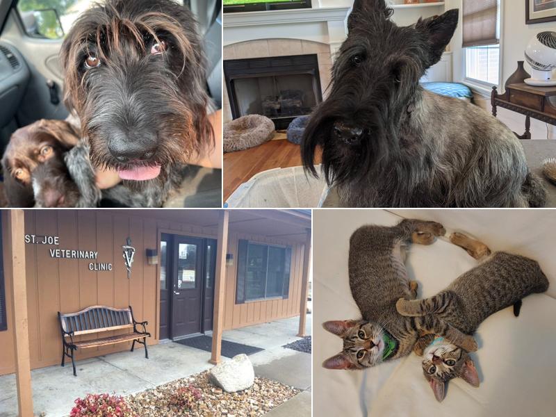 St Joe Veterinary Clinic: Cates Donald R DVM