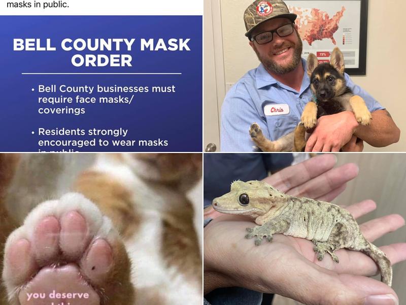 Jeanette Nicholson, DVM