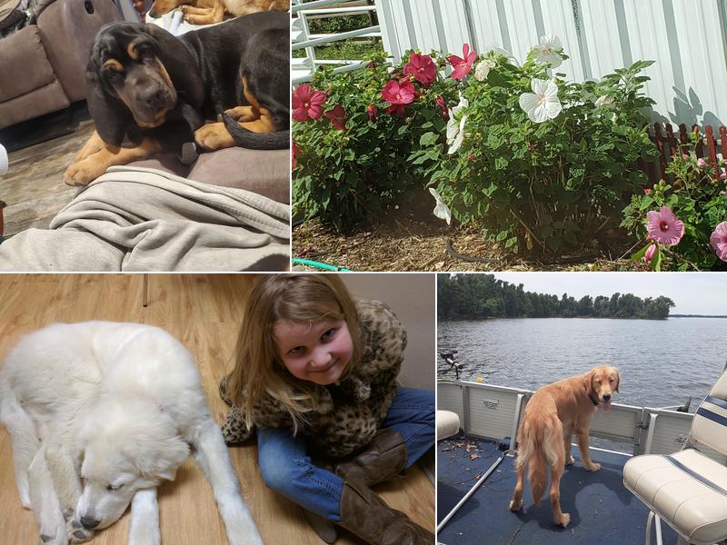 Bosque County Veterinary Clinic