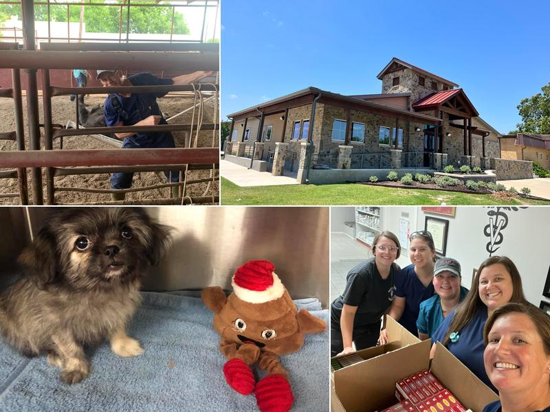 Refinery Road Veterinary Clinic: Hartman Justin DVM