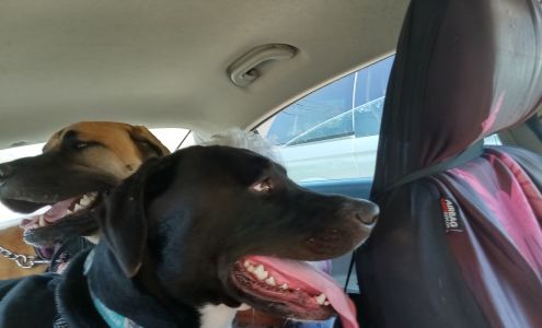 Calvert City Animal Hospital 4267 US-62, Calvert City Kentucky 42029