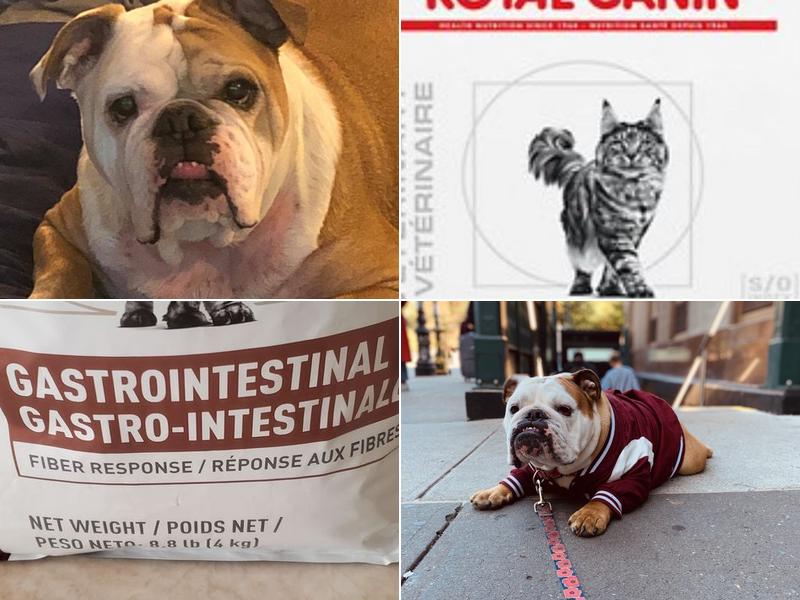 Steven Caban, D.V.M.