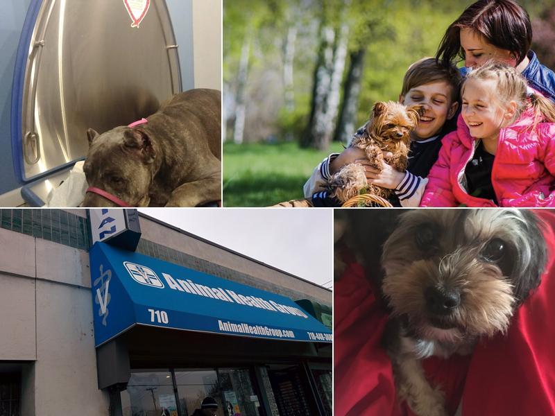 Animal Health Group on Castleton Ave