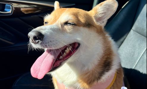 Lyon County Animal Hospital 638 Trade Ave, Eddyville Kentucky 42038