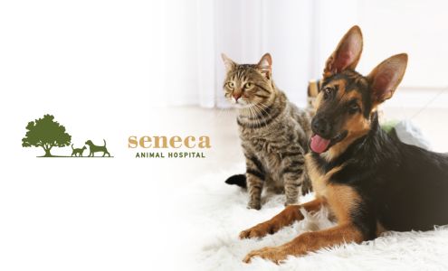 Seneca Animal Hospital