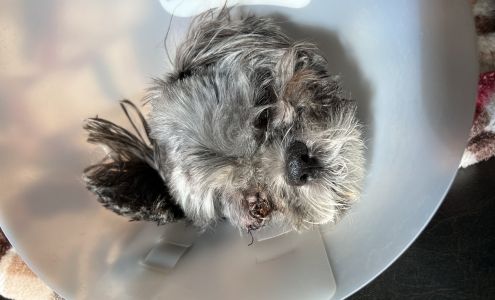 Montana Animal Clinic