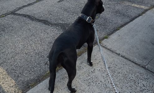 El Paso Veterinary Hospital