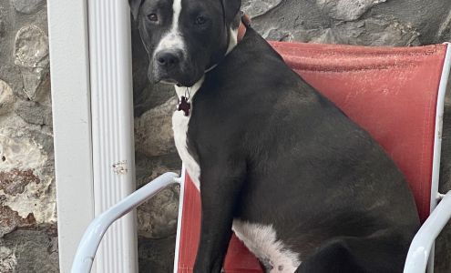 Edgar Park Veterinary Clinic El Paso