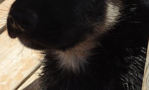 Mc Combs Veterinary Clinic