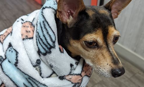 Northeast Veterinary Clinic