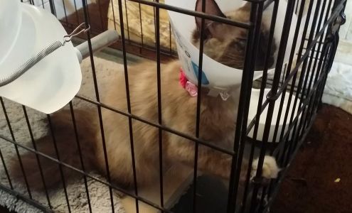 Sun Valley Animal Clinic