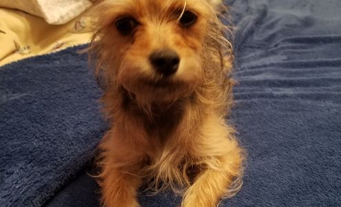 McRae Animal Hospital