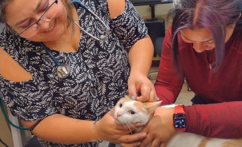 Foothills Animal Clinic