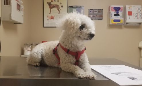 Fort Bliss Veterinary Treatment Facility