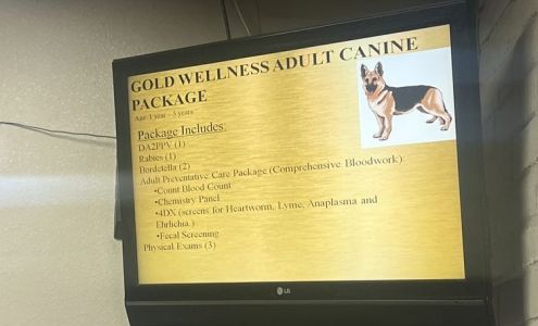 Northeast Veterinary Clinic: Sanchez Cynthia DVM