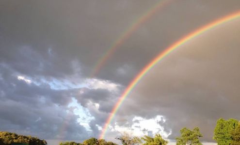 Southern Equine Veterinary Services 6478 Sulphur Well Knob Lick Rd, Knob Lick Kentucky 42154