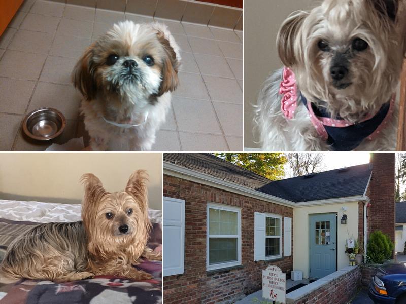 Blaicher Veterinary Health Care