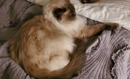 Veterinary Center of Somerset Somerset