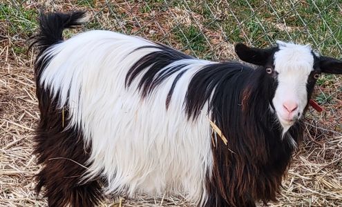 Somerset Animal Hospital 125 KY-2227, Somerset Kentucky 42503