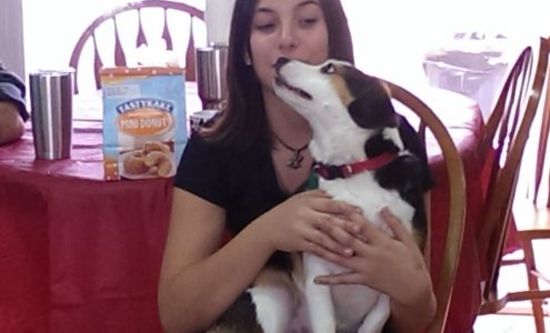 Monticello Pet Clinic 1529 N Main St, Monticello Kentucky 42633