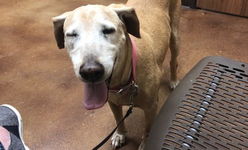 Hansford County Veterinary Hospital