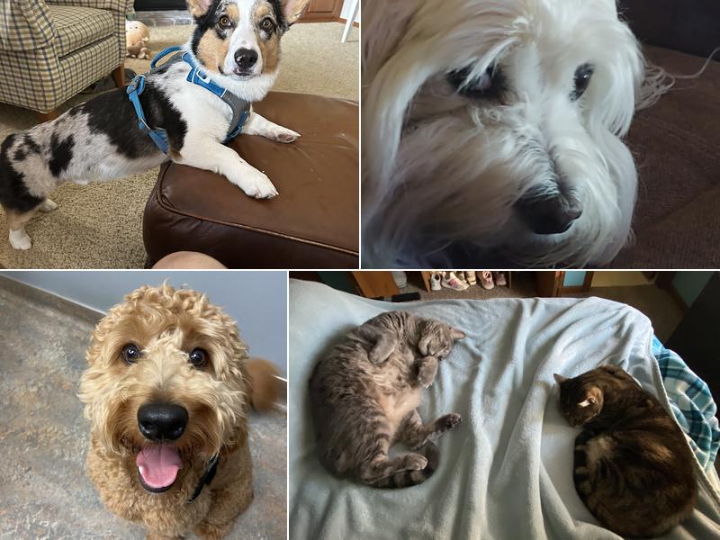 Dr. James Himmelberg, DVM