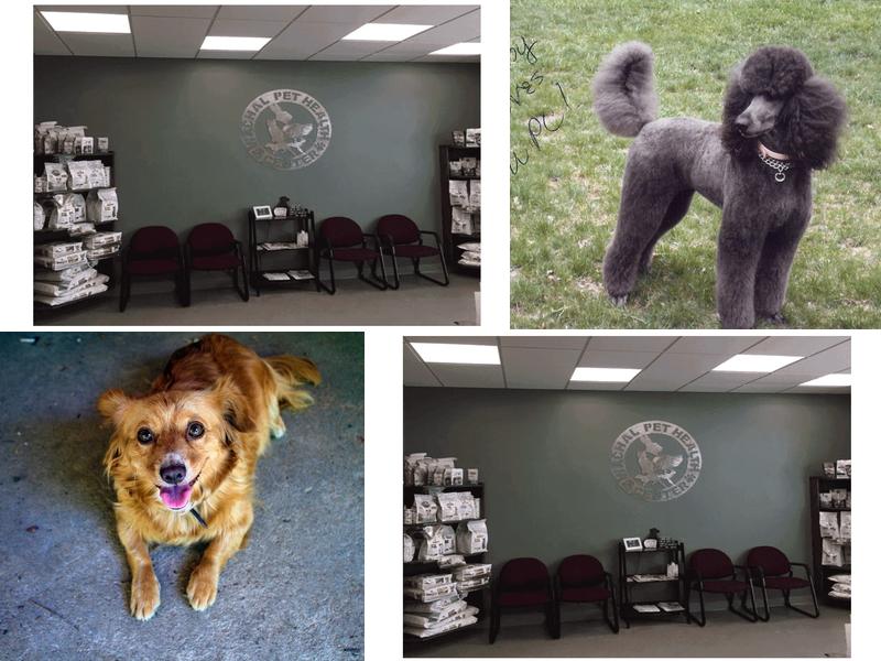 Wachal Pet Health Center