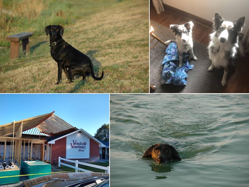 Vondra Veterinary Clinic